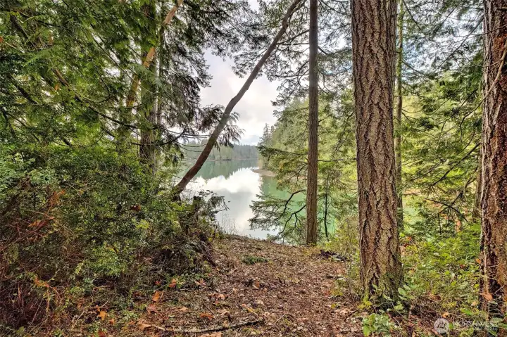 Nice spot for a house!