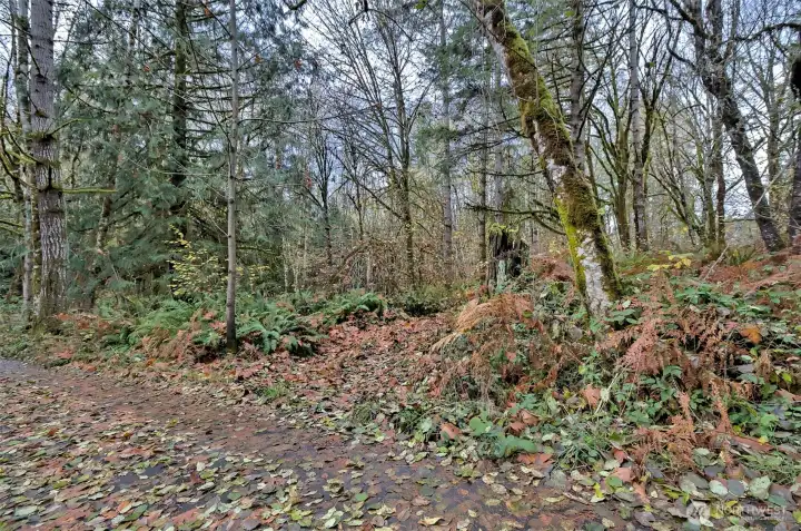 Beginning of the trail...