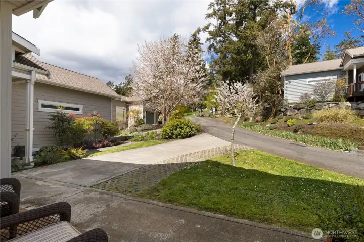 Mature trees and flowering shrubs provide a natural backdrop that celebrates the beauty of San Juan Island's four seasons. From the covered front porch looking at the private off street parking.