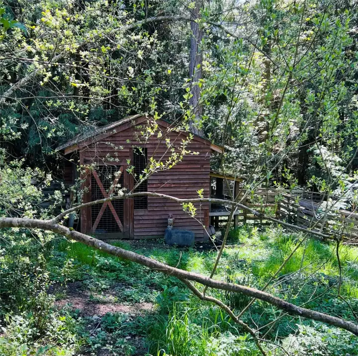 Chicken Coop
