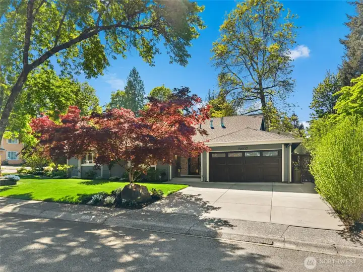 Nestled beneath the shade of towering trees, this beautifully updated home blends timeless curb appeal with a peaceful, welcoming presence.