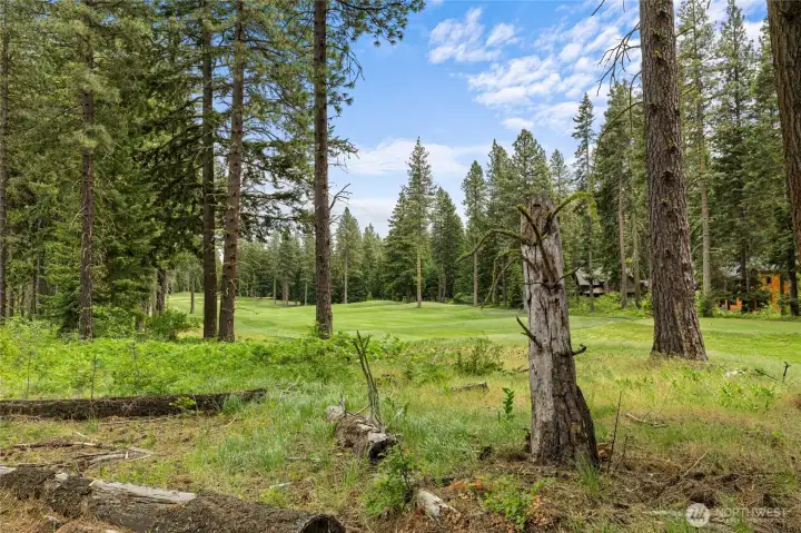 Views of Hole 2 on Prospector Golf Course