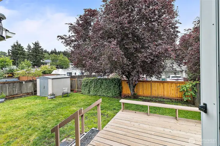 View of Unit A yard from deck