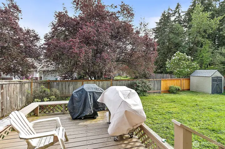 View of Unit B yard from deck