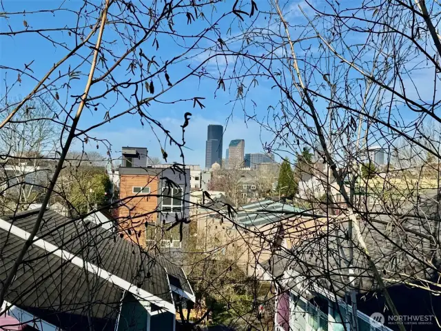 View from the living room