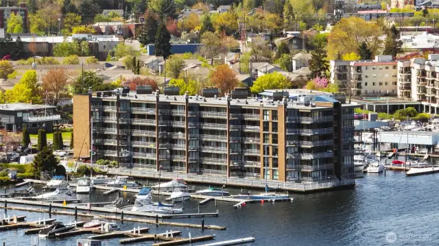 Framed by trees and nestled against the shoreline, Spinnaker Bay’s graceful curve embraces the lake—offering a rare vantage where nature, water, and design converge.