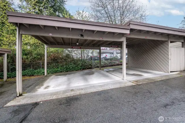 Enjoy your reserved covered parking space #52. There are also several uncovered spaces right in front of the building.
