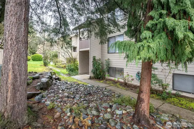 Beautifully landscaped grounds. To the right you can see the paved walkway to your unit.