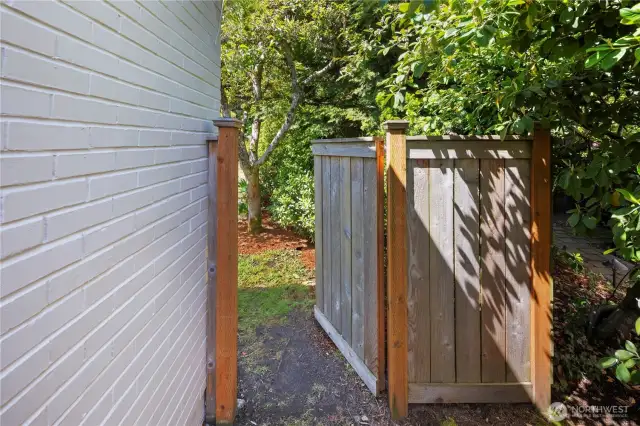 Let's check out the back yard