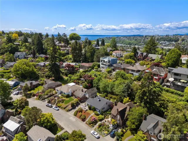 Terrific neighborhood!