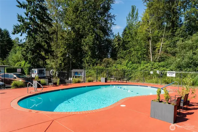 Community Pool