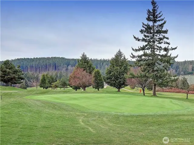 Vision your hole-in-one on this par 3, Hole #4
