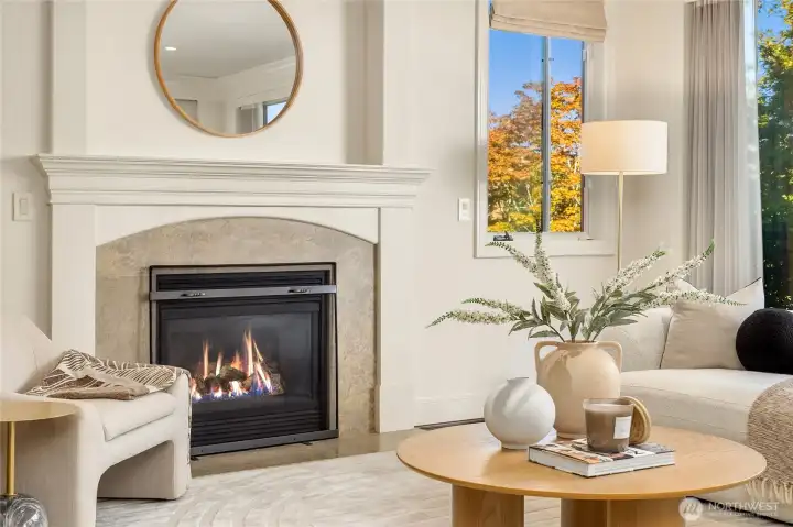Gas fireplace in the living room.