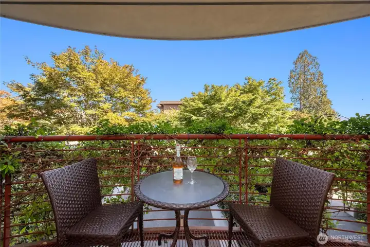 This balcony is a lovely extension to the living room.  The clematis vine gives a lush green screen from the street.