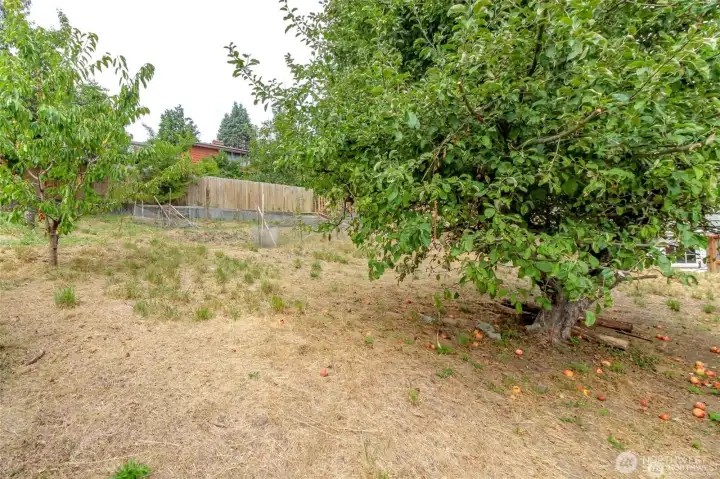 Enjoy mature fruit trees!