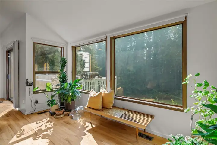 Great area for plants!