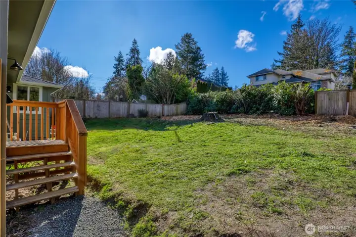 Spacious back yard