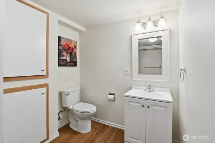 Lower level Bathroom