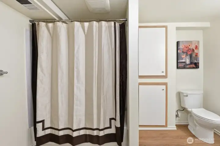 Lower level Bathroom