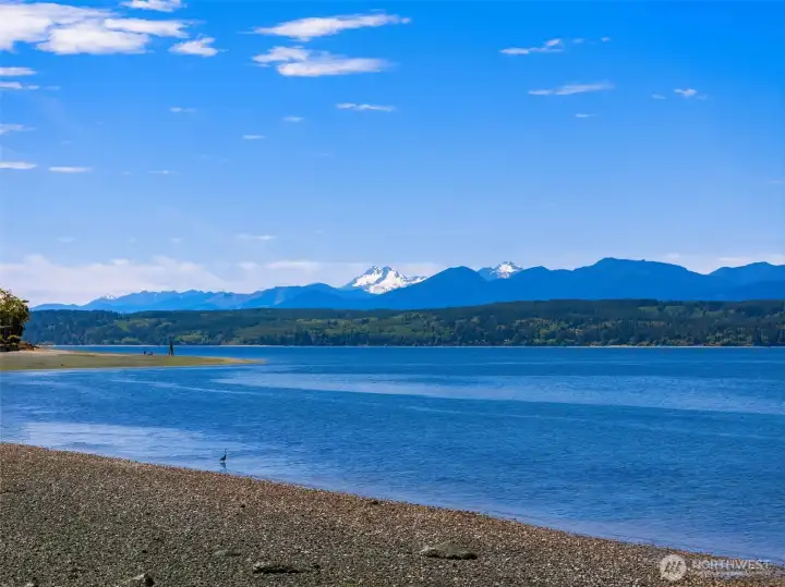 Magical Hood Canal beachfront.