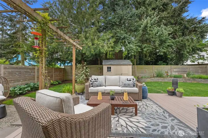 Serene backyard