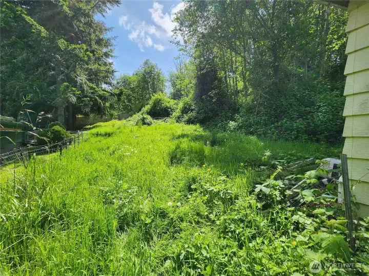 Yard slopes up from the back of the house. Room for possible expansion, buyer to research with the Town of Eatonville for possibility of expansion or future uses of the lot. Yard slopes up from the back of the house. Room for possible expansion, buyer to research with the Town of Eatonville for possibility of expansion or future uses of the lot.