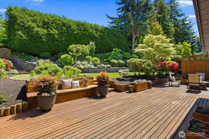 Spectacular backyard oasis