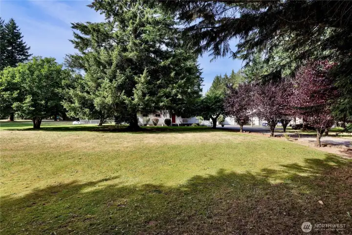 Side yard in front Side yard in front