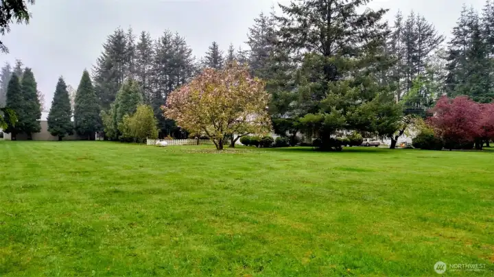 Front yard in the spring Front yard in the spring
