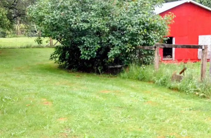 Barn with fenced area Barn with fenced area