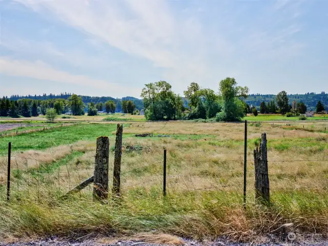 View of the acreage