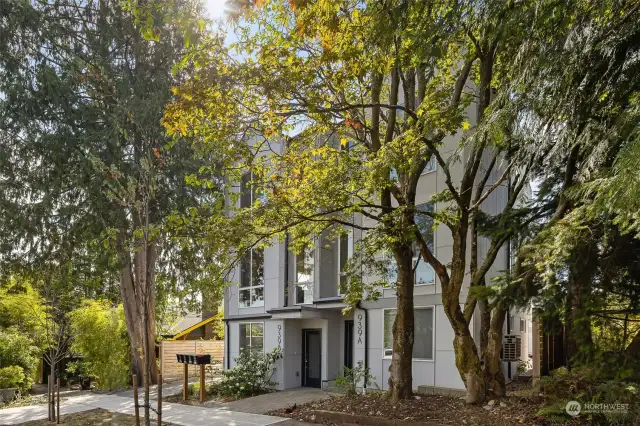 A tranquil setting, surrounded by lush greenery, creates a peaceful retreat in the heart of Seattle. Enjoy the balance of modern living and nature with this tree-lined property.