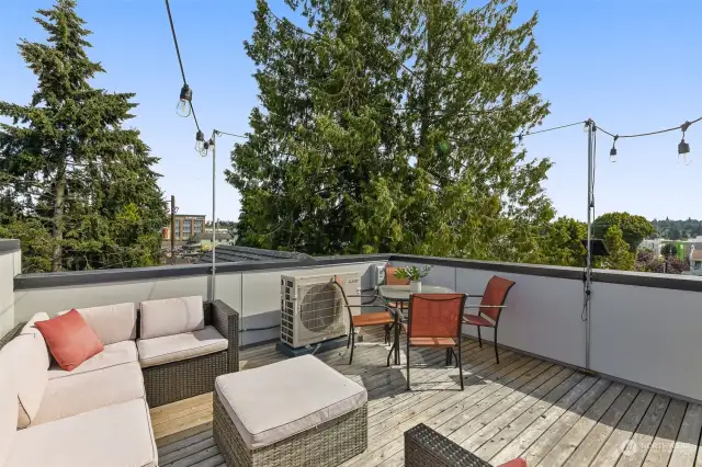 A second view of the rooftop deck highlights the spacious relaxation and outdoor entertaining area.