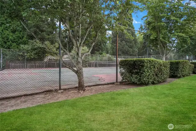 Steps to fun sports court.