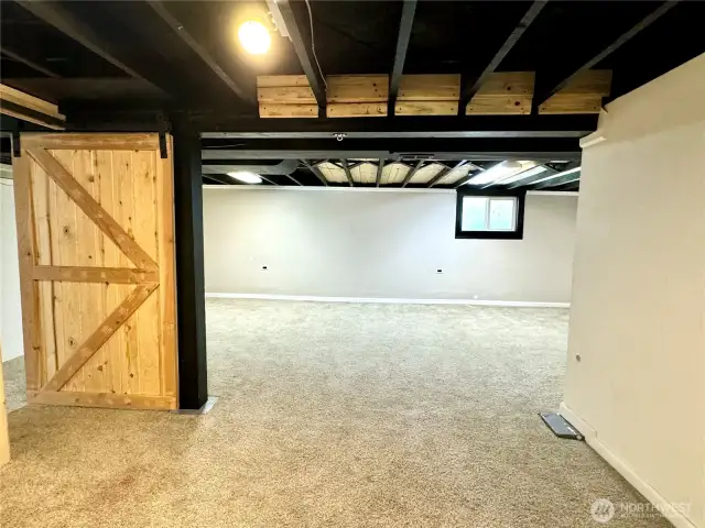 Basement great room