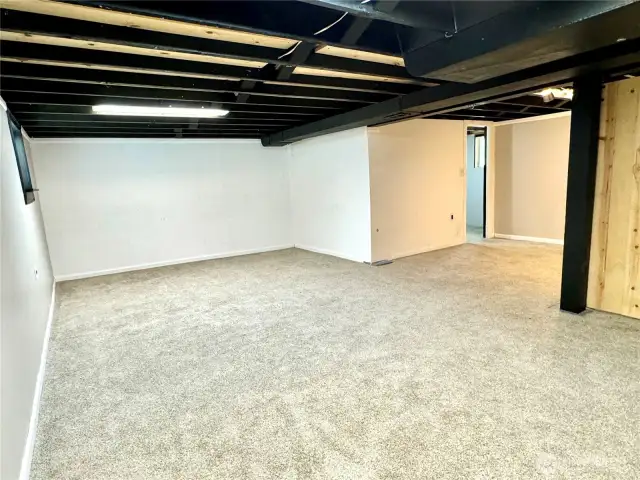 Basement great room