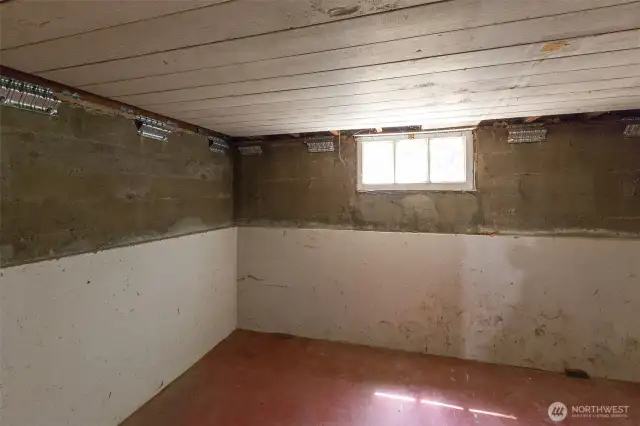 Another basement room could be pantry/storage/studio?