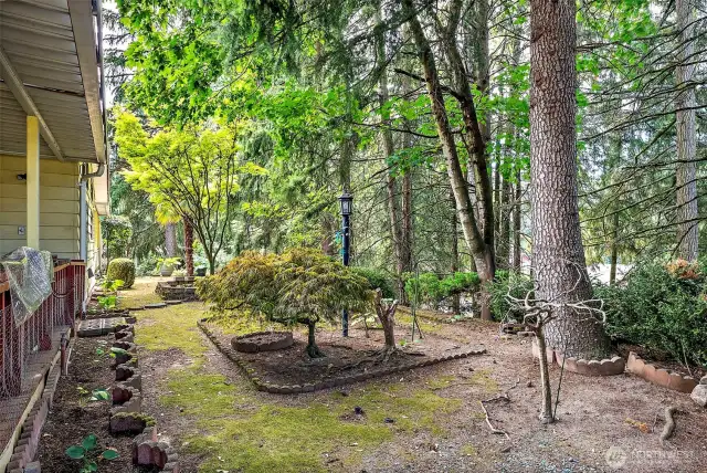 Great outdoor space - plenty of room for gardening, entertainment, pets, etc