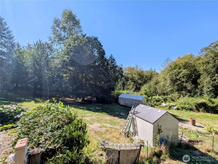 View of backyard area (This shed does NOT convey)