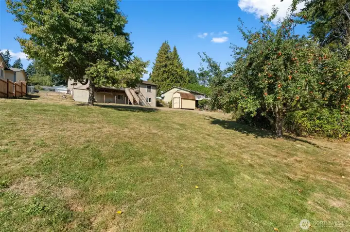 Enjoy a spacious backyard with convenient side access — perfect for pulling in a trailer, boat, or RV, or taking on your next big project. With mature fruit trees and a lot larger than most in the neighborhood, this outdoor space truly stands out.