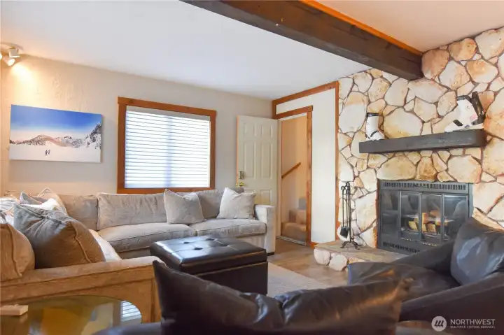 Lower level living room