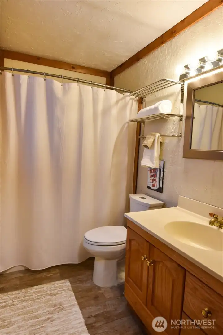 Lower level full bath