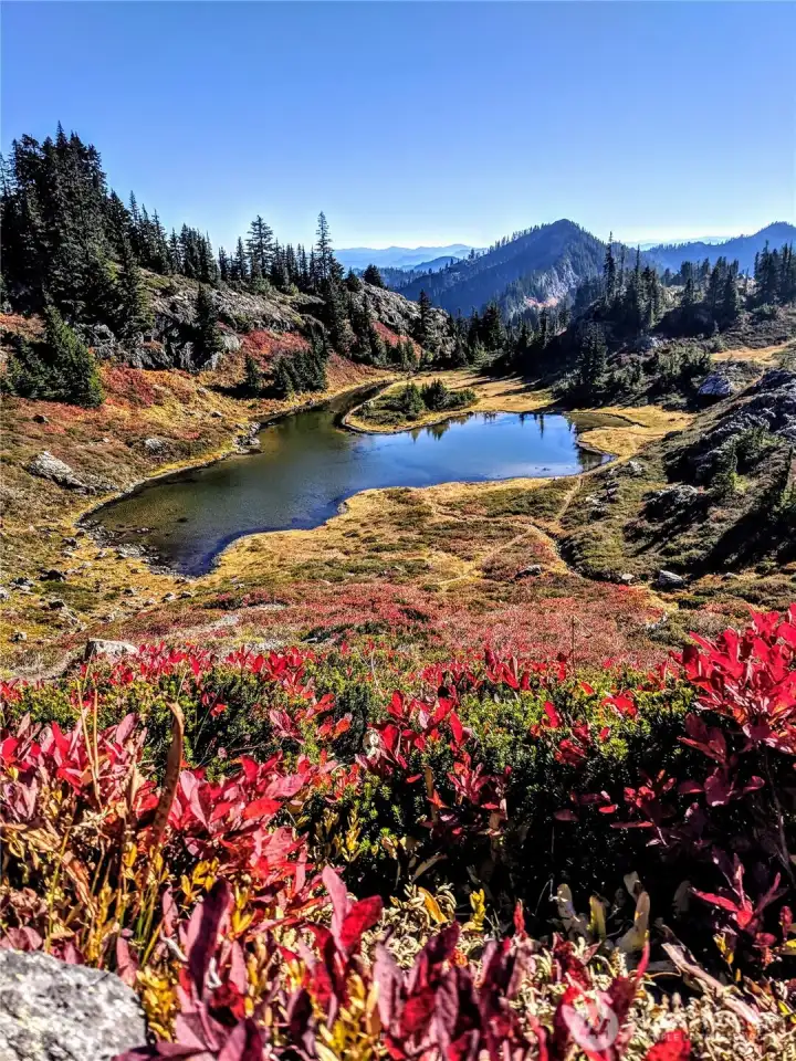 Dozens of alpine lakes with 5 mile radius