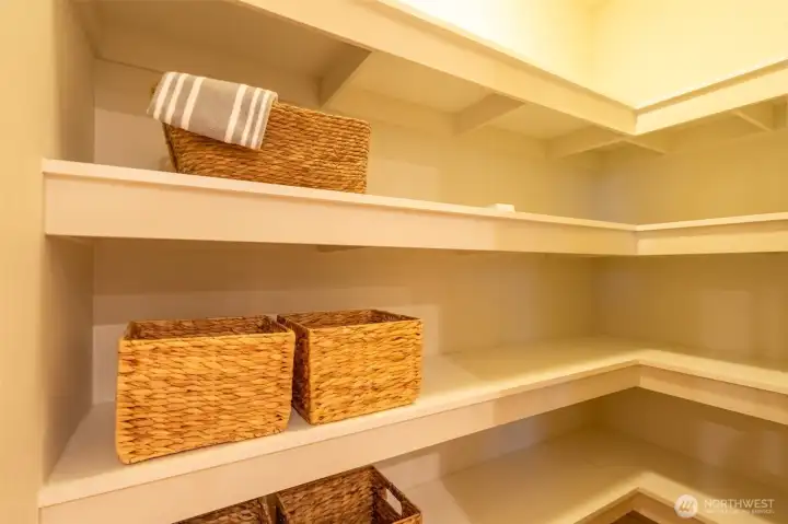 Spacious pantry right off the kicthen.