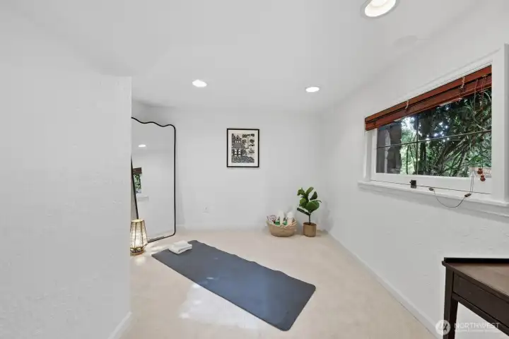 Lower level bonus room. This room has a closet too so it could be a great guestroom!