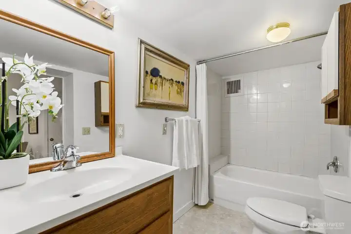Lower level bathroom.