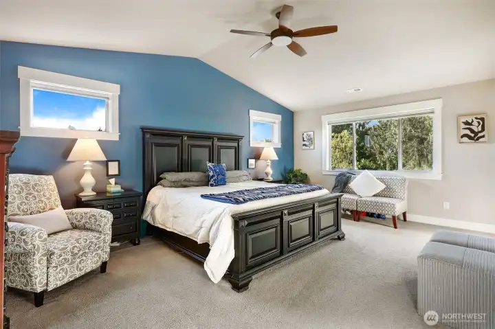 Primary bedroom - vaulted ceiling, ceiling fan and great natural light