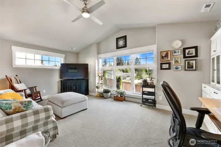 Upper level family/bonus room