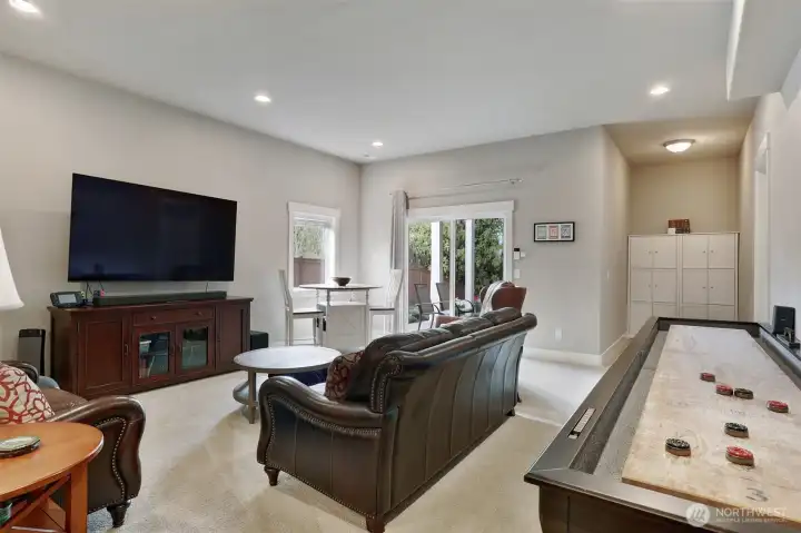 Lower level rec room with walk-out slider to the back patio and yard