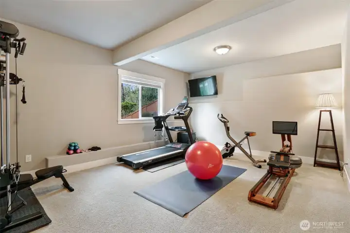 Lower level bedroom or flex space